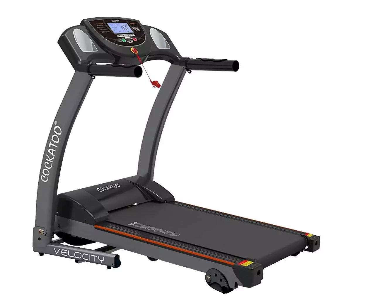 best treadmills to buy in India